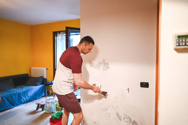 Best Kitchen Mold Remediation in Asotin, WA