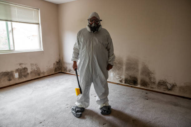 Best Insurance-Related Mold Remediation in Asotin, WA