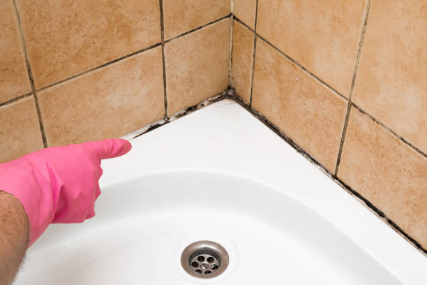 Best Bathroom Mold Remediation in Asotin, WA